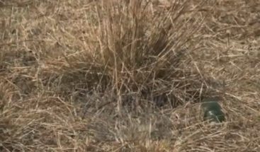 Preocupación en el noroeste del país por la sequía que afecta la zona