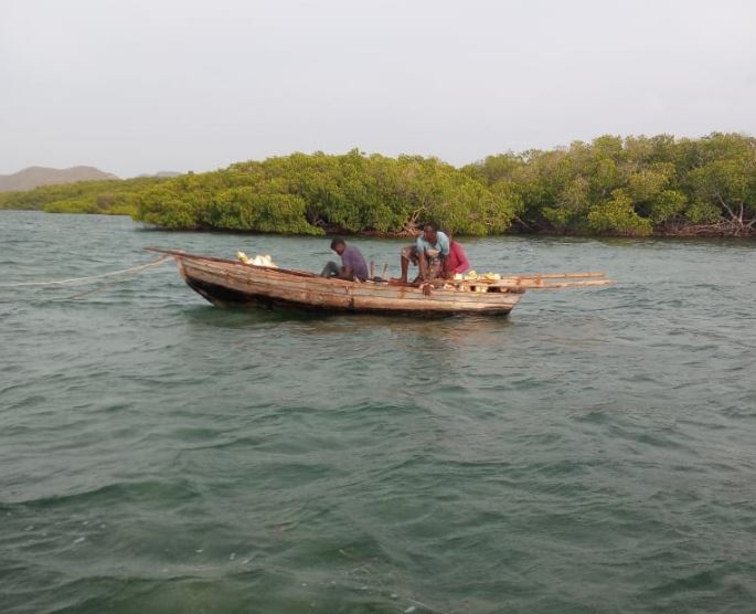 Armada frustra viaje ilegal e intercepta embarcaciones haitianas realizando pesca ilegal